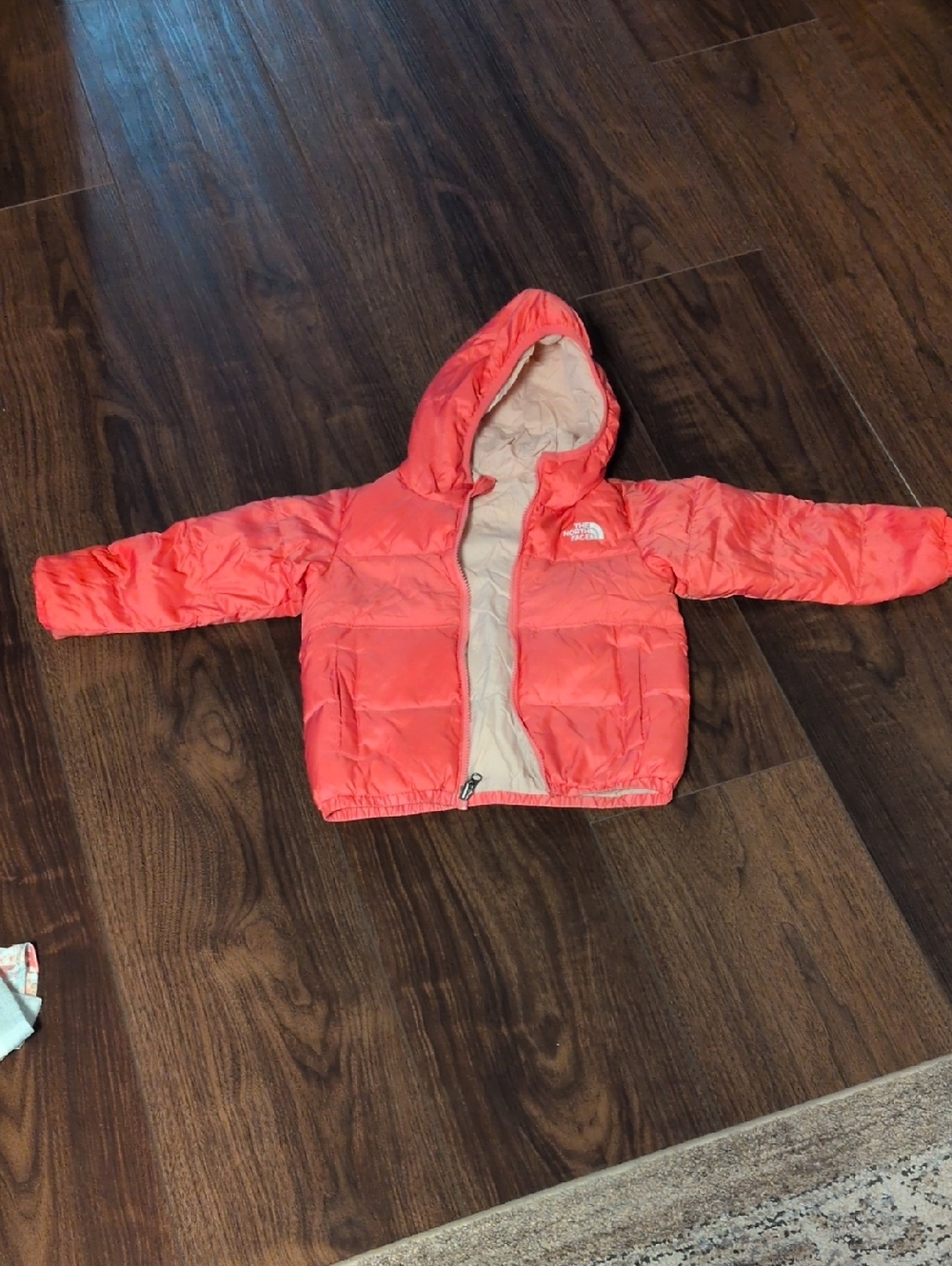 The North Face Coral Hooded Puffer Jacket